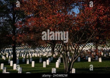 Arlington, Virginia, Stati Uniti. 11 Nov 2021. Il cimitero di Arlington è visto davanti ad una processione piena di onori che celebra il centenario della tomba del Milite Ignoto ad Arlington, Virginia, Stati Uniti, giovedì, 11 novembre, 2021. La Tomba del Milite Ignoto, che funge da cuore del Cimitero Nazionale di Arlington, ha fornito un luogo di riposo finale per uno dei membri non identificati del servizio della prima Guerra Mondiale d'America, e Unknown delle guerre successive sono stati aggiunti nel 1958 e nel 1984. Credit: Sarah Silbiger/Pool via CNP/dpa/Alamy Live News Foto Stock