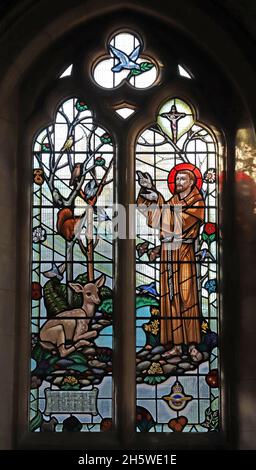 Una vetrata di Wippell & Co (artista Francis Stephens) raffigurante San Francesco d'Assisi, la Chiesa di San Pietro, Budleigh Salterton, Devon Foto Stock