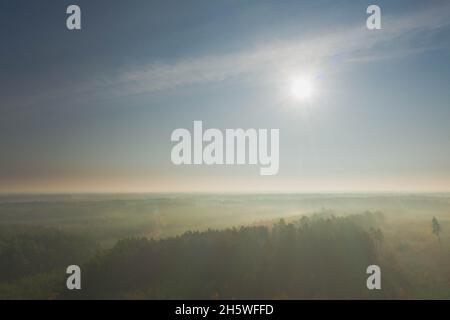 Una vasta pianura coltivata con pini. E' mattina d'autunno, una nebbia illuminata dai raggi del sole si innalza sulla foresta. Vista dal drone. Foto Stock