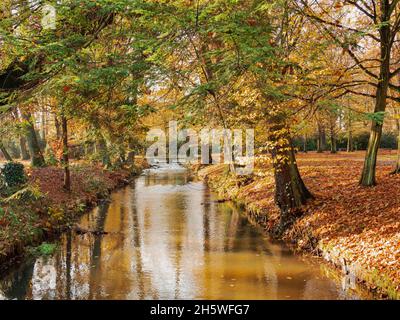 Manor Park nella città di Ilowa in Polonia. Un piccolo, stretto fiume. È autunno. I bordi sono ricoperti da uno strato spesso di foglie marroni. Foto Stock