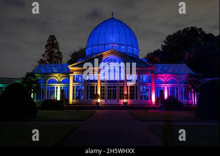 Londra, Regno Unito. 11 novembre 2021. Il Grande Conservatorio è illuminato in anteprima del bosco incantato al Syon Park, nella zona ovest di Londra. Ora nel suo 15 ° anno, ma annullato l'anno scorso a causa di problemi di coronavirus, l'evento presenta illuminazioni su un percorso attraverso terreni paesaggistici da Capability Brown, passando per la Syon House 16 ° secolo, la casa londinese del Duca di Northumberland, e termina al Grande Conservatorio. Lo spettacolo si svolge dal 12 novembre al 28 novembre 2021. Credit: Stephen Chung / Alamy Live News Foto Stock