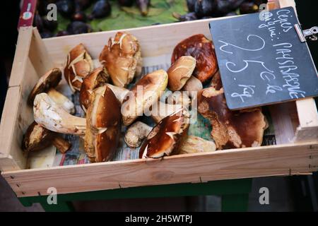 CEP funghi in vendita, Pays Basque, Pirenei, Francia Foto Stock