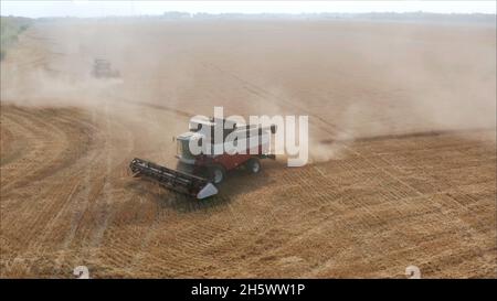 Raccolta di grano in estate. Due mioglitrici rosse che lavorano sul campo. Mietitrebbia macchina agricola raccogliendo grano dorato maturo sul fie Foto Stock
