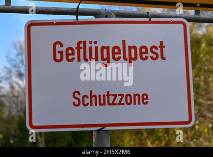 Leipe, Germania. 9 novembre 2021. Un segnale che recita "zona di protezione dell'influenza aviaria". Credit: Patrick Pleul/dpa-Zentralbild/ZB/dpa/Alamy Live News Foto Stock