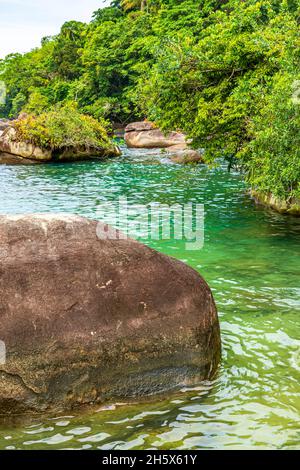 La foresta pluviale che invade il mare con acque calme e colori vibranti tra le rocce di Trindade, Paraty a Rio de Janeiro Foto Stock