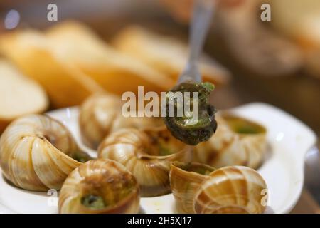 Helix Aspersa Muller piatto di lumaca in un ristorante. Lumache commestibili con burro e condimenti. Foto Stock