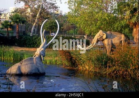 La Brea Tar Pits a Los Angeles, California Foto Stock