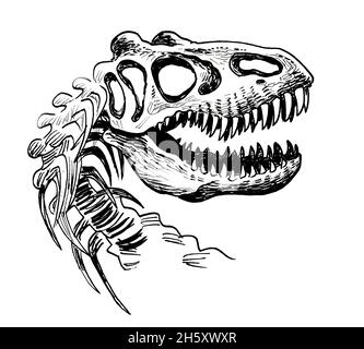 Cranio Tyrannosaurus rex. Disegno in bianco e nero con inchiostro Foto Stock