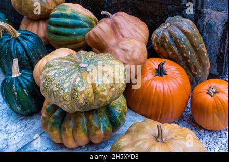 Le zucche sperperano Halloween Foto Stock