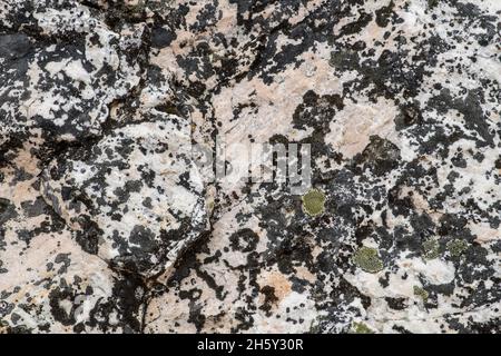 Massi ricoperti di lichene in uno scivolo di roccia, Jasper National Park, Alberta, Canada Foto Stock