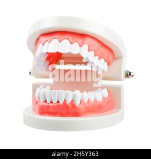 Modello di denti isolato su sfondo bianco, salvare il tracciato di ritaglio. Foto Stock