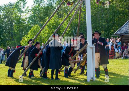 Festa di mezza estate a Boda Gammelgård. Gli uomini in costumi tradizionali stanno alzando il palo di metà estate. Foto Stock