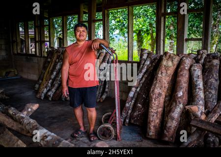 Luglio 2017. Enersto Bagiwan, contadino della Kalahan Educational Foundation (KEF) 's vivaio sopra la città, sposta tronchi utilizzati per la coltivazione di funghi shitaki. Imugan, Nueva Vizcaya, Filippine. Foto Stock