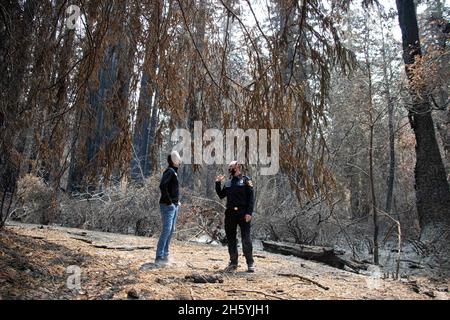 Gavin Newsom Surveys The Damage to Big Basin Redwoods state Park by the CZU Lightning Complex Fure & Met with Emergency responders & Federal, state & local offices ca. 1° settembre 2020 Foto Stock