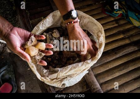 Luglio 2017. Primo piano della resina Almacega (Agathis philippinensis) è uno dei principali prodotti forestali non legnosi che guidano l'economia locale. Kayasan, Barangay Tagabinet, Palawan, Filippine. Foto Stock