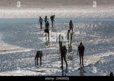 Gruppo di escursionisti che attraversano la Baie de Somme a bassa marea. Le Crotoy, Francia Foto Stock