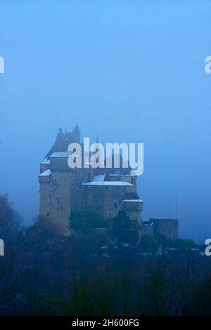 FRANCIA, HAUTE SAVOY ( 74 ), ANNECY, IL CASTELLO DI MENTHON SAINT BERNARD SOPRA IL LAGO DI ANNECY Foto Stock