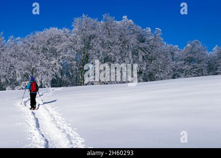 FRANCIA, ISERE ( 38 ), SAINT PIERRE DE CHARTREUSE, RACCHETTE DA NEVE SUL PARCO NATURALE DI CHARTREUSE Foto Stock