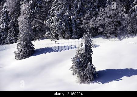 FRANCIA, ISERE ( 38 ), SAINT PIERRE DE CHARTREUSE, SCI DA TURISMO SUL PARCO NATURALE DI CHARTREUSE Foto Stock