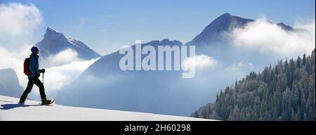 FRANCIA, ISERE ( 38 ), SAINT PIERRE DE CHARTREUSE, RACCHETTE DA NEVE SUL PARCO NATURALE DI CHARTREUSE Foto Stock