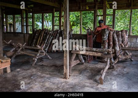 Luglio 2017. Enersto Bagiwan, contadino della Kalahan Educational Foundation (KEF) 's vivaio sopra la città, sposta tronchi utilizzati per la coltivazione di funghi shitaki. Imugan, Nueva Vizcaya, Filippine. Foto Stock