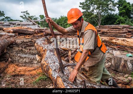 Dicembre 2017. La segheria Asociación Forestal Integral Cruce la Colorada di Carmelita raccoglie in modo sostenibile mogano e altro legname dalla sua concessione forestale comunitaria. Carmelita è stata la prima concessione nella regione 20 anni fa e sta cercando di dover rinnovare il contratto con il governo in 5 anni. Carmilita, Guatemala. Foto Stock