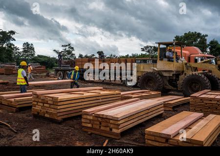 Dicembre 2017. Lavoratori che spostano il legno presso la segheria Asociación Forestal Integral Cruce la Colorada a Carmelita Guatemala Foto Stock