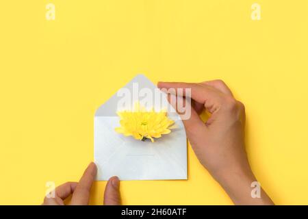 Vista dall'alto delle mani della donna che reggono una busta bianca aperta con fiore giallo. Sfondo giallo, spazio di copia Foto Stock