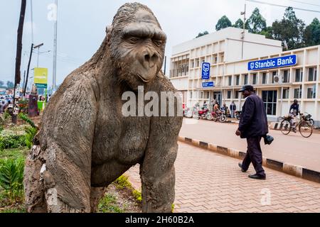 Settembre 2017. I gorilla sono la principale attrazione e un enorme motore dell'economia nel sud dell'Uganda, con il permesso di trascorrere solo un'ora nella foresta con loro costando US $ 600 a persona. Kabale, Uganda. . Foto Stock