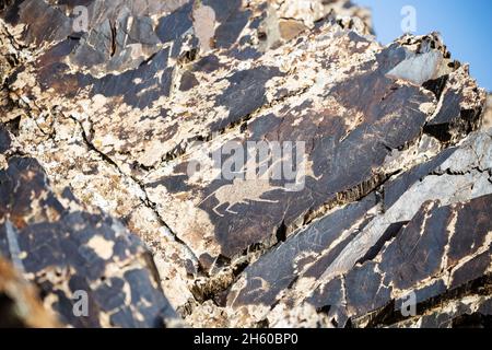 Antichi dipinti rupestri nella gola di Sarmysh, catena montuosa Nurata, Uzbekistan Foto Stock