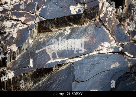 Antiche sculture rupestri nella gola di Sarmysh, catena montuosa Nurata, Uzbekistan Foto Stock