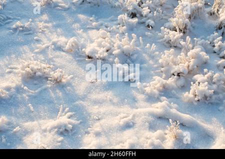 Gelo e neve in polvere che ricopre erba e terra. Foto Stock