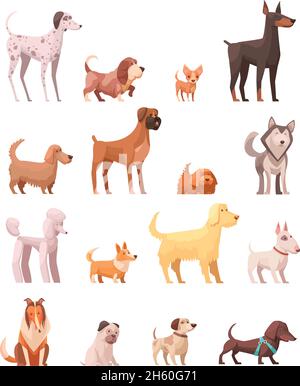 Razze di cani retro cartoon icone collezione con bucce di poedel Husky shepherd e dachshund cane isolato vettore illustrazione Illustrazione Vettoriale