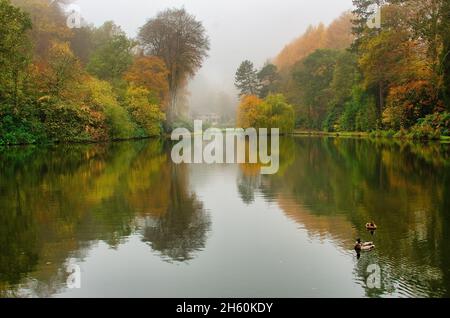 Una vista paesaggio di un laghetto in una mattina un po 'nebbiosa. Preso in autunno, mostra i colori meravigliosi e il riflesso nell'acqua Foto Stock