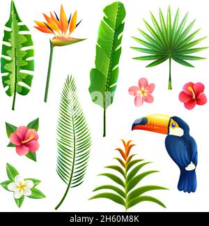 Giardini tropicali foglie e fiori insieme con uccello toucan isolato illustrazione vettoriale Illustrazione Vettoriale