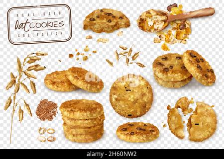 Raccolta realistica di biscotti d'avena interi e a metà isolati illustrazione vettoriale trasparente di sfondo Illustrazione Vettoriale