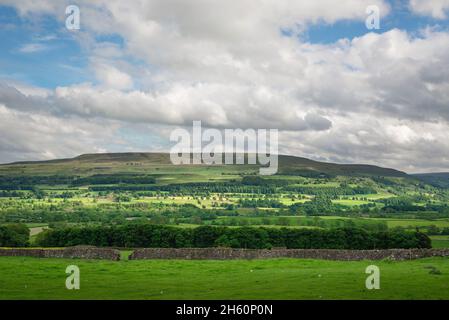 North Yorkshire, vista in estate di Penhill a Bishopdale, North Yorkshire Dales National Park, Inghilterra, Regno Unito Foto Stock