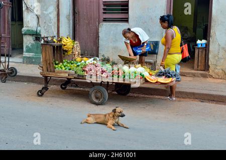 Street commerce in central Havana- Fruit vendor, La Habana (Havana), Habana, Cuba Stock Photo