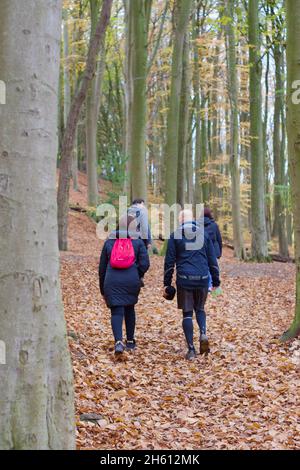 Gruppo di persone che camminano attraverso un bosco durante una passeggiata sponsorizzata (escursioni attraverso il lago artificiale) Foto Stock