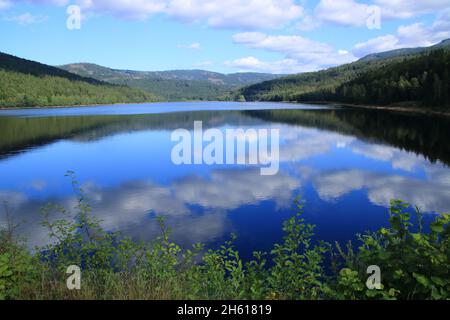 Vista del Frauenau serbatoio di acqua potabile nella foresta bavarese Foto Stock