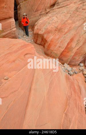 Escursionista sulla Cupola Bianca trail, la Valle del Fuoco del parco statale, Nevada, STATI UNITI D'AMERICA Foto Stock