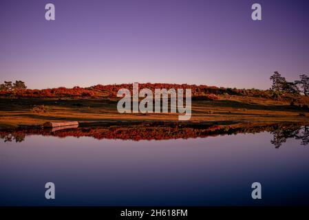 Una bella scena di paesaggio di riflessione al crepuscolo che mostra i colori autunnali delle felci nel New Forest Hampshire Inghilterra. Foto Stock