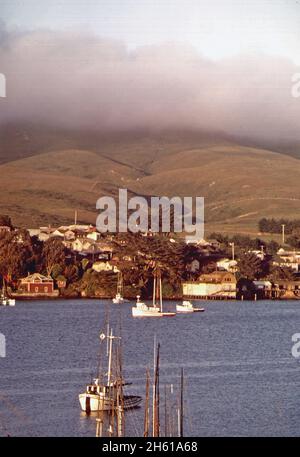 1970 America: Colline che si affacciano Bodega Bay in California ca. 1972 Foto Stock