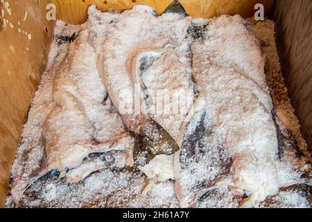 Merluzzo fresco pescato impaccato di sale, Fogo, Terranova e Labrador NL, Canada Foto Stock