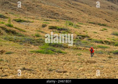 Tablelands Landscape-, Gros Morne National Park, Terranova e Labrador NL, Canada Foto Stock