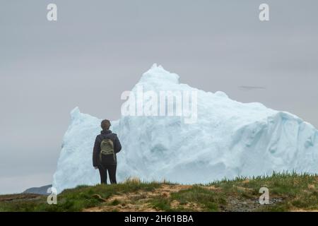 Iceberg gigante, Goose Cove, Terranova e Labrador NL, Canada Foto Stock