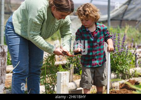 Giovane madre che insegna circa l'agricoltura al ragazzo carino che si alza in serra in giorno di sole Foto Stock