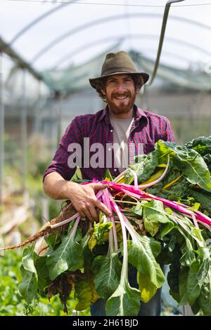 Ritratto di sorridente giovane maschio ported agricoltore che tiene fresco raccolto rabarbaro da serra Foto Stock