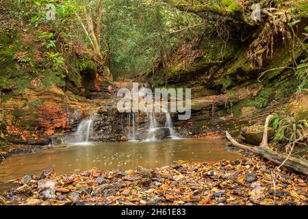 Piccola cascata naturale autunnale nel bosco di St Dunstans tra Cade Street e Old Heathfield nella contea di East Sussex, Inghilterra sud-orientale Regno Unito Foto Stock