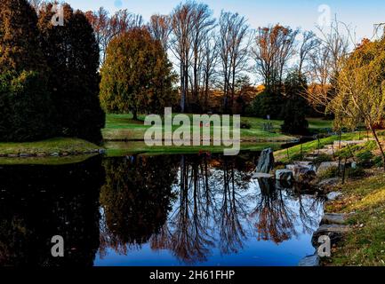 I colori autunnali prendono vita intorno ad un laghetto rurale Foto Stock